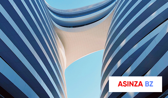 ASINZA BZ